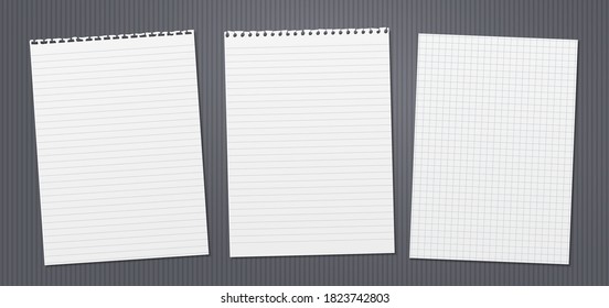 White lined and math note, notebook paper with torn edges stuck on dark grey lined backgroud. Vector illustration