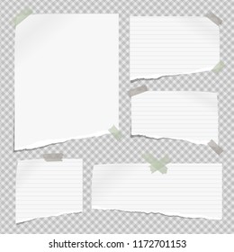 White lined note, notebook paper pieces with torn edges stuck with sticky tape on gray squared backgroud. Vector illustration.