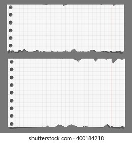 White lined torn notebook paper on gray background.