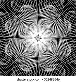 White Lines Flower