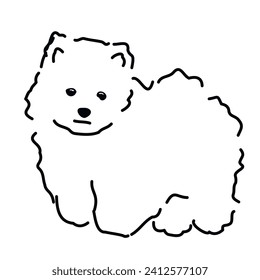 White little cute shaggy dog
​