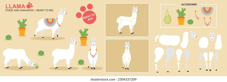 White Llama Alpaca cartoon character ready to rig for animation. Collection, set multiple poses, cute animal vector with accessories. Farm animals rig ready 