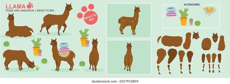 White Llama Alpaca cartoon character ready to rig for animation. Collection, set multiple poses, cute animal vector with accessories. Farm animals rig ready