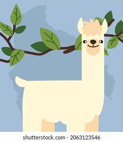 white llama and branch tree