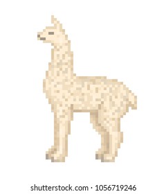 White llama standing on the ground, pixel art cartoon character isolated on white background. Old school 8 bit slot machine pictogram. Retro 80s; 90s video game graphics. Zoo/national park animal. 