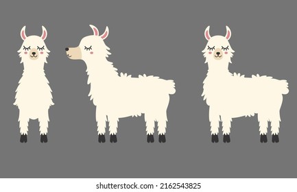 White Llama Vector, Cute Llama Clipart, Cute Alpaca, Kids Llama Shirt Files, Kawaii Llama