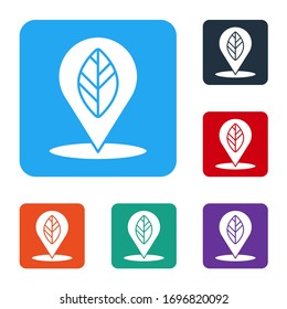 Pin de posición blanca con icono de hoja interior aislado en fondo blanco. Establecer iconos en botones cuadrados de color. Ilustración vectorial