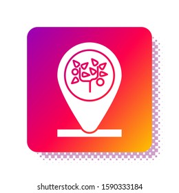 White Location and tree icon isolated on white background. Square color button. Vector Illustration