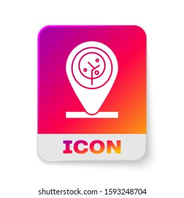 White Location and tree icon isolated on white background. Rectangle color button. Vector Illustration