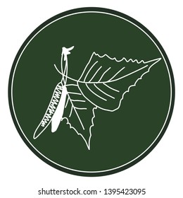 White logo of a birch branch on a dark green background. Celtic astrological calendar of the druids. Tree symbol in a circle. Birch weeping. For natural themes. Chalk drawing on blackboard