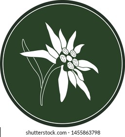 White logo edelweiss flower on a dark green background. Celtic astrological calendar of the druids. Symbol of a flower in a circle. For natural themes. Chalk drawing on blackboard