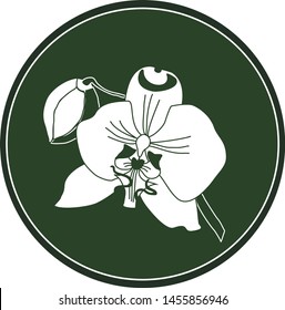 White logo orchid flower on a dark green background. Celtic astrological calendar of the druids. Symbol of a flower in a circle. For natural themes. Chalk drawing on blackboard