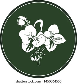 White logo viola flower on a dark green background. Celtic astrological calendar of the druids. Symbol of a flower in a circle. For natural themes. Chalk drawing on blackboard