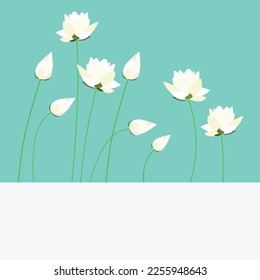 White lotus flower in pastel background. Flower Arrangement. Zen. Minimalist style.