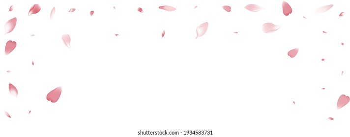 White Lotus Petal Vector White Background. Color Modern Sakura Petal Banner. Peach Petal Romantic Illustration. March Cherry Petal Congratulation.