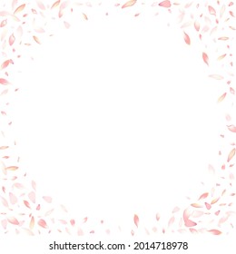 Fondo blanco del vector blanco de Lotus Petal. Tarjeta Petal de cerezo Pastel Springtime. Pancarta fresca de Sakura Petal. Aroma Peach Petal Product.