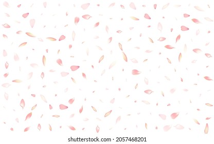 White Lotus Petal Vector White Background. Pastel Fall Apple Petal Texture. Sakura Petal Air Banner. Romantic Flower Petal Illustration.