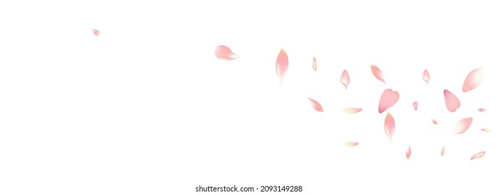 White Lotus Petal Vector White Background. Pastel Summer Peach Petal Frame. Sakura Petal Air Template. Soft Rose Petal Banner.