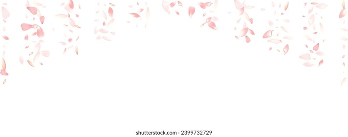 White Lotus Petal Vector White Background. Pastel Springtime Sakura Petal Cover. Cherry Petal March Design. Wallpaper Peach Petal Texture.