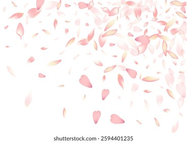White Lotus Petal Vector White Background. Color Falling Cherry Petal Product. Flower Petal Japan Frame. Air Peach Petal Backdrop.