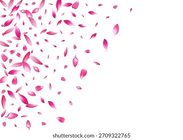 Weißer Lotusblütenblatt-Vektor, weißer Hintergrund. Rosa März Blütenblatt Poster. Apple Blütenblatt helles Produkt. Japanische Kirschblütenkarte.