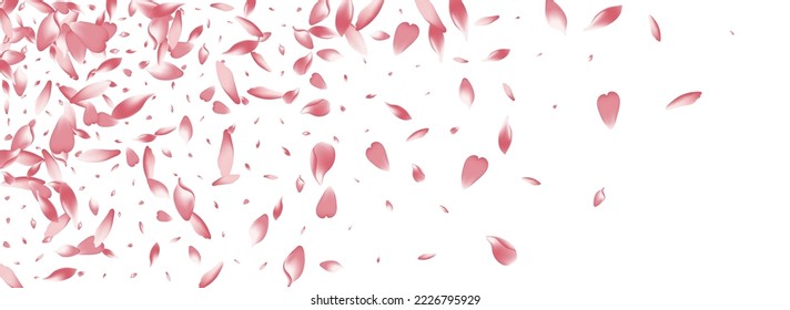 Fondo Panorámico del Vector Blanco Lotus Petal. Cartel de Rose Petal de la boda rosa. Marco Del Spa Sakura Petal. Diseño de Petal de Engranaje Fresco.