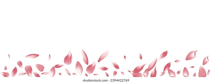 Fondo Panorámico del Vector Blanco Lotus Petal. El trasparente fondo de Romance Sakura Petal. Enhorabuena A Cherry Petal. Ilustración de Petal Peach Floor.