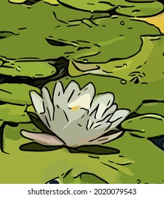 White lotus single with leaves in the garden pond,  cartoon, outlines