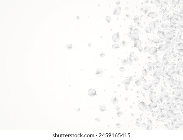 White Lotus Vector Light Background. Snowy Fly Sakura Banner. Japan Petal Template. Delicate Cherry Fall Design.