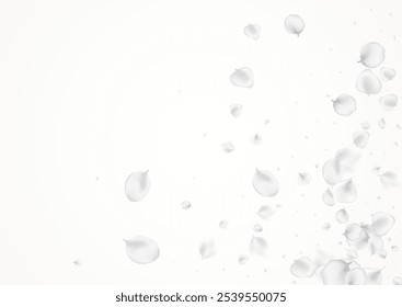 Fondo de luz de Vector de loto blanco. Textura delicada del pétalo de Japón. Difuminar el patrón Sakura. Fondo de belleza de flor pastel.