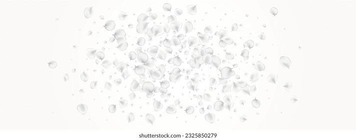 White Lotus Vector Light Panoramic Background. Delicate Japan Floral Template. Summer Petal Banner. Gray Rose Fall Backdrop.