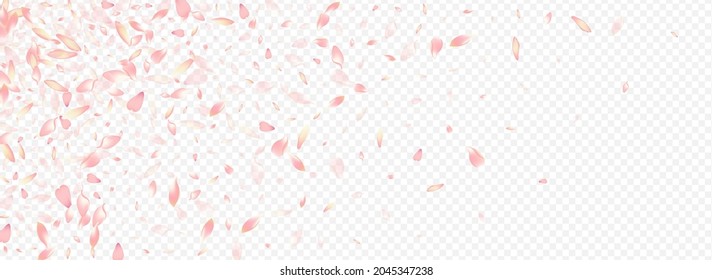 White Lotus Vector Panoramic Transparent Background. Floral Realistic Card. Blossom Valentine Pattern. Peach March Illustration. Light Heart Aroma Poster.