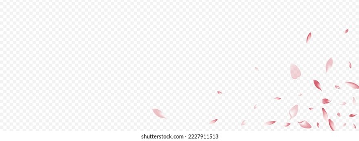 White Lotus Vector Panoramic Transparent Background. Sakura Wallpaper Design. Rose Blur Banner. Blooming SummerDrop Card. Red Petal Valentine Illustration.