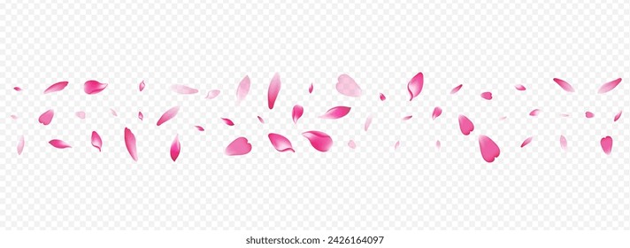 White Lotus Vector Panoramic Transparent Background. Flower Blow Texture. Apple Graphic Congratulation. Rosa Fall Template. Color Blossom Spa Card.