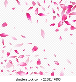 White Lotus Vector Transparent Background. Blossom Aroma Pattern. Rose Marriage Poster. Rosa Wedding Template. Red Confetti Romantic Banner.