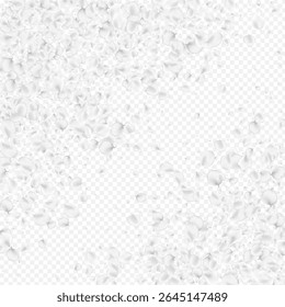 White Lotus Vector Transparent Background. Pastel Tender Peach Design. Falling Cherry Texture. Snowy Flower Flying Poster.