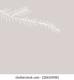 white lush spruce branch. Fir branches. Isolated on white vector illustration