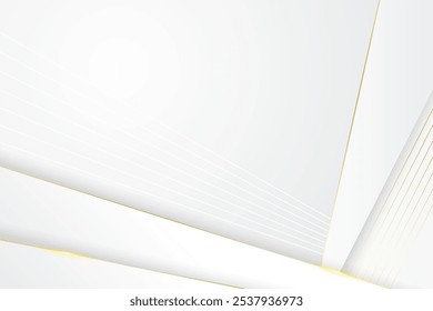 White luxury background with gold line ornament