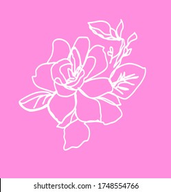 White magnolia flower outline on pink vector graphics wedding illustration
