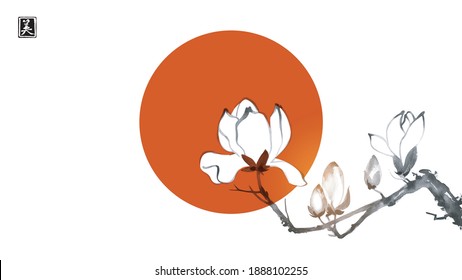 White magnolia flowers and big red sun, symbol of Japan. Traditional oriental ink painting sumi-e, u-sin, go-hua. Translation of hieroglyph - beauty