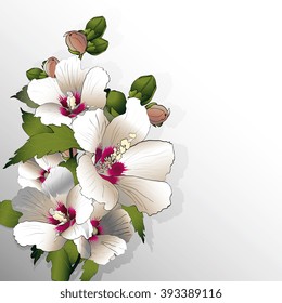 White mallow flowers in the background. Vector illustration