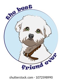 White Maltese Bolognese with a funny inscription, isolated on a white background. Vector illustration. Cute curly-haired, white puppy.