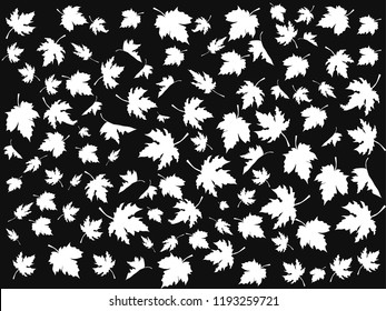 white maple patterns on black background