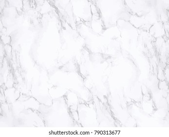 White Marble Background Vector 