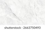 White marble surface with intricate grey veining and a subtle texture.