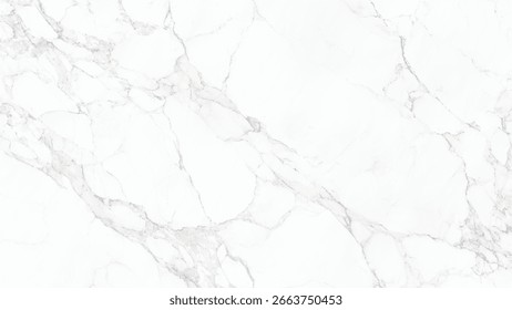 A white marble surface with intricate grey veining creating a natural pattern.