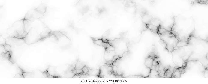 White marble texture background. Abstract backdrop of marble granite stone. Vector illustration