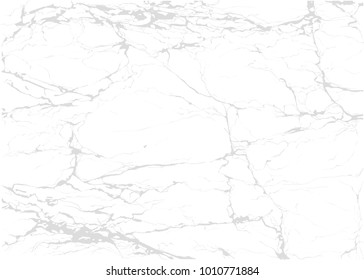 White marble texture background vector illustration