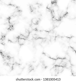 White marble texture background. Vector illustration.