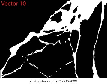 White marble texture with  bold contrasting veining. black marble with white veins. White marbel natural pattern for background, abstract black white. Eps 10